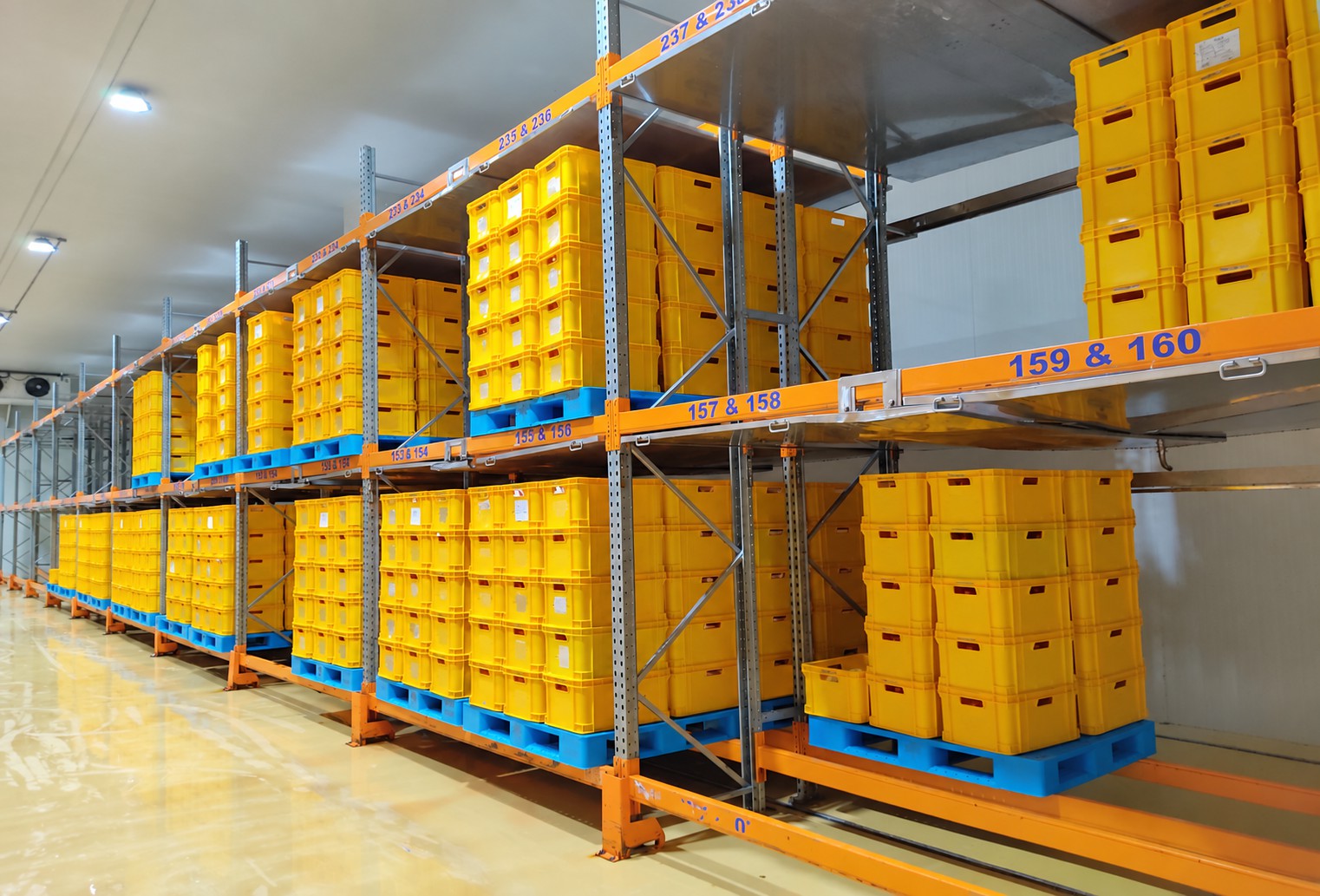 Racked temperature-controlled holding room
